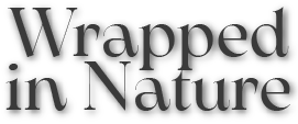 Wrapped in Nature
