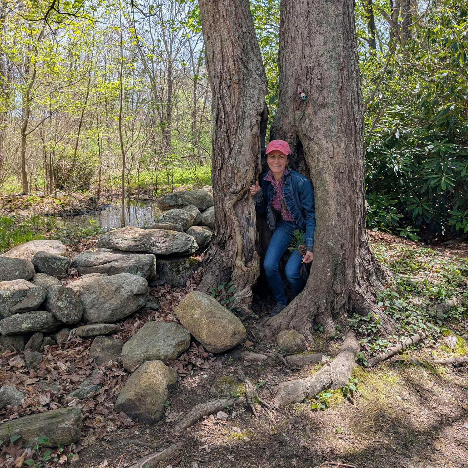 wrapped-in-nature-sara-seelenbrandt Wrapped in Nature - Sara Seelenbrandt eco fashion workshops creator in RI