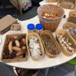 Nature Tapestries, Melrose Avenue School, Jamestown, RI