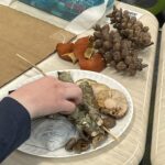 Nature Tapestries, Melrose Avenue School, Jamestown, RI