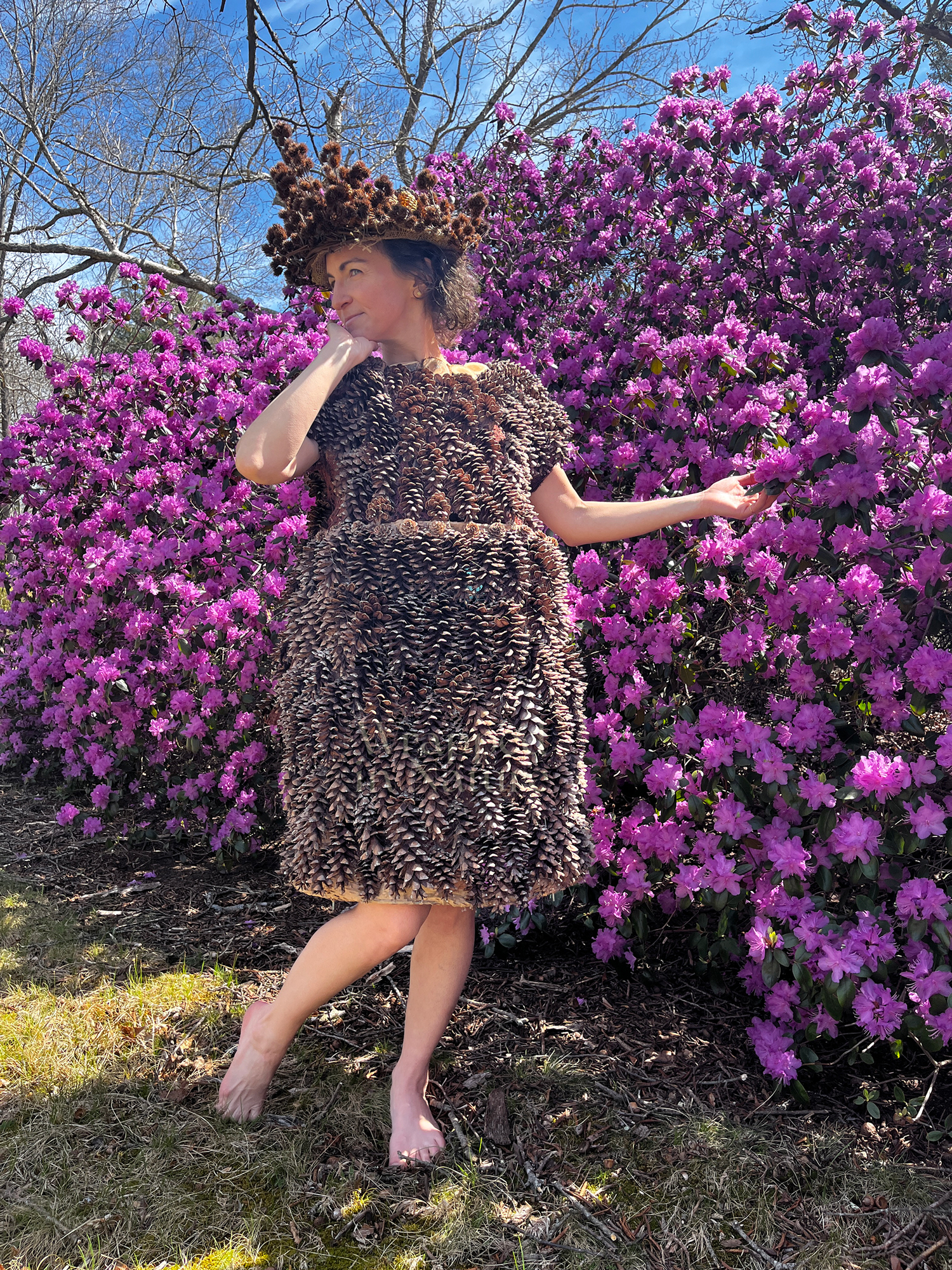 Visions of a Treetop Angel